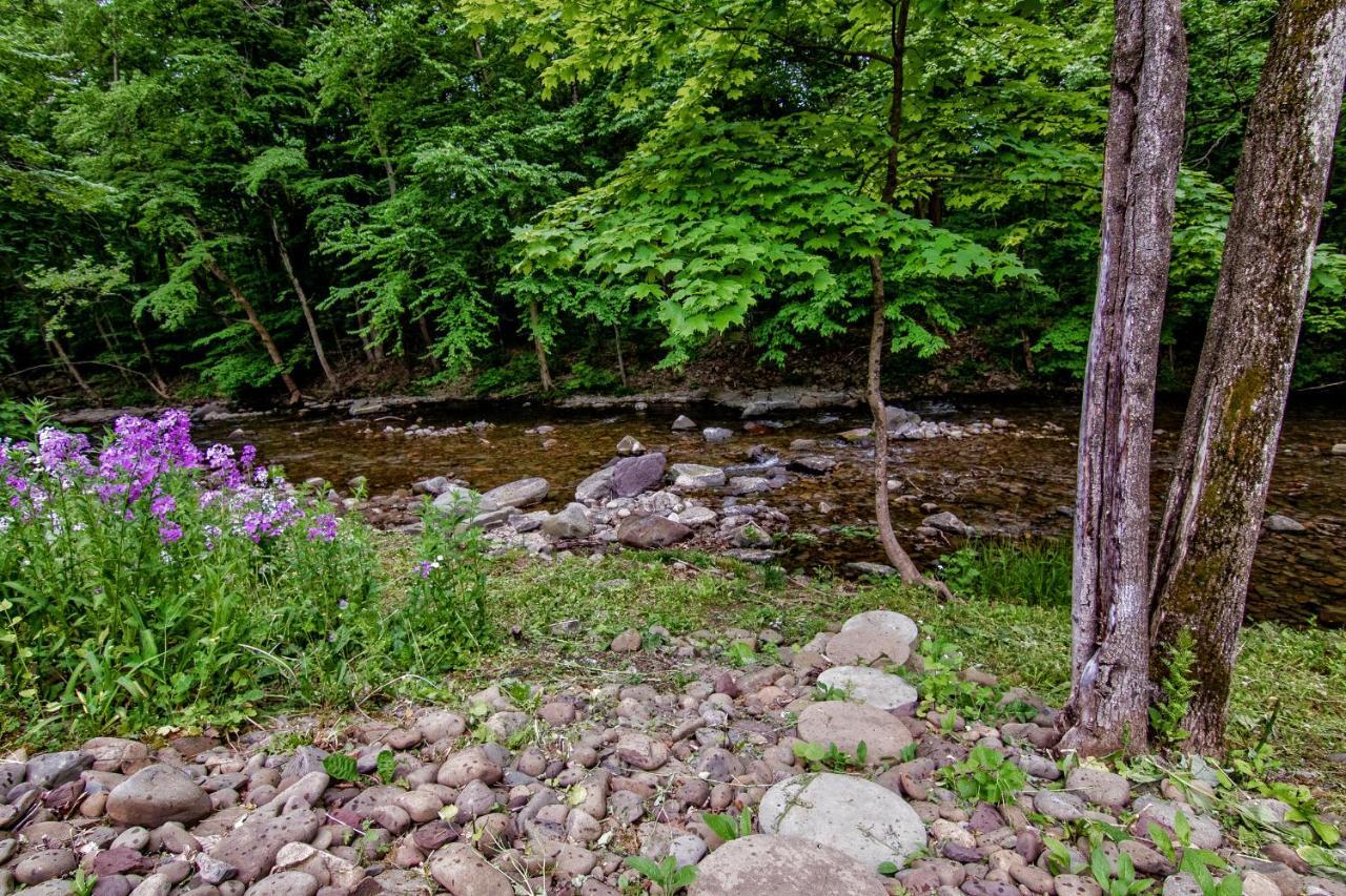 Cabin By The Creek With Private Creek Access แทนเนอร์สวิลล์ ภายนอก รูปภาพ