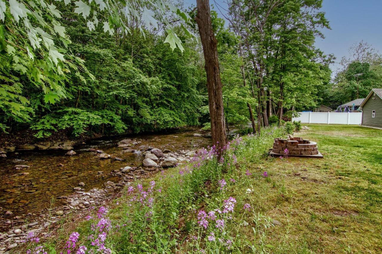 Cabin By The Creek With Private Creek Access แทนเนอร์สวิลล์ ภายนอก รูปภาพ